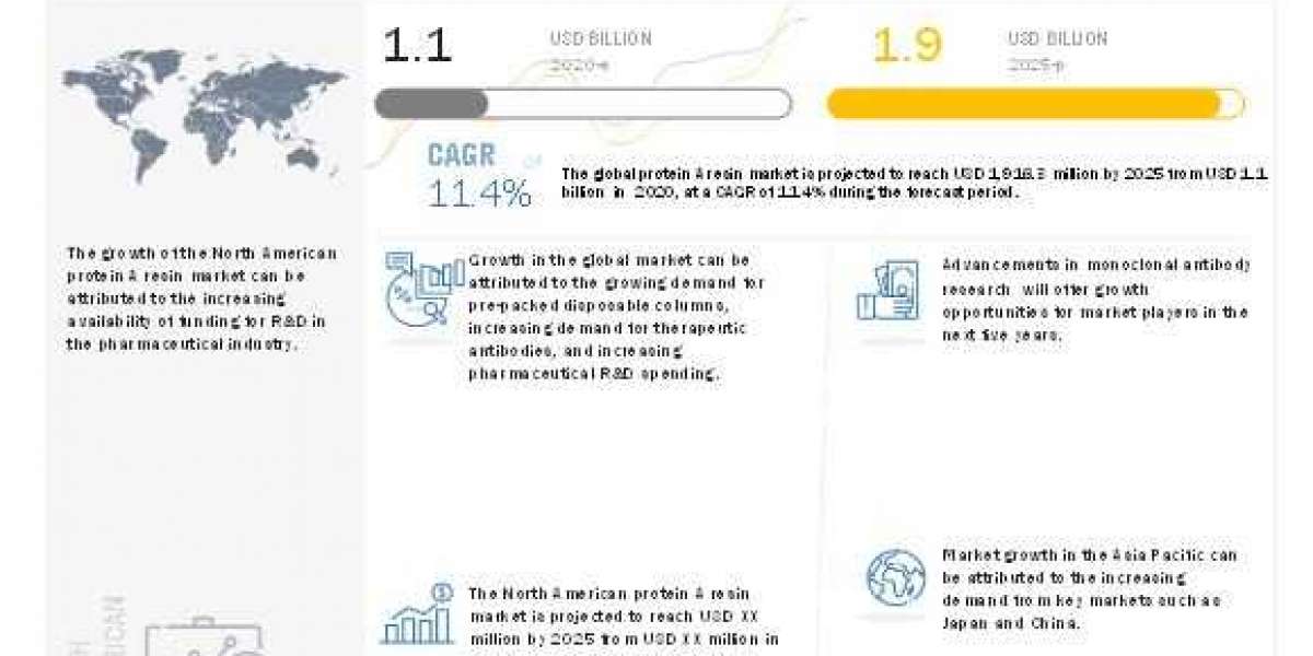 How big is the Protein A Resin market?